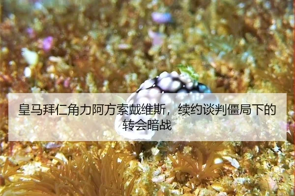 huang-ma-bai-ren-jue-li-a-fang-suo-dai-wei-si-xu-yue-tan-pan-jiang-ju-xia-de-zhuan-hui-an-zhan-2-101.jpg